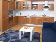 Appartement studio à louer en plein coeur de la ville de Prague