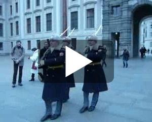 video 50